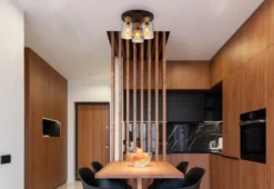 Aleidis 3 plafond