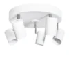 Aurora 5 spotlight