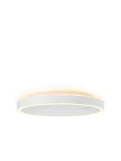 Backlight String Ø40 plafond
