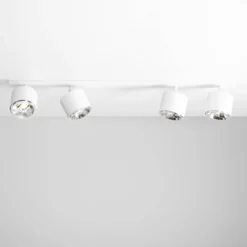 Bot 4 spotlight