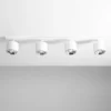 Bot 4 spotlight