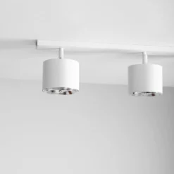 Bot 4 spotlight