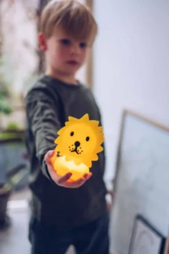 Bundle of Light - Lion Mini barnlampa