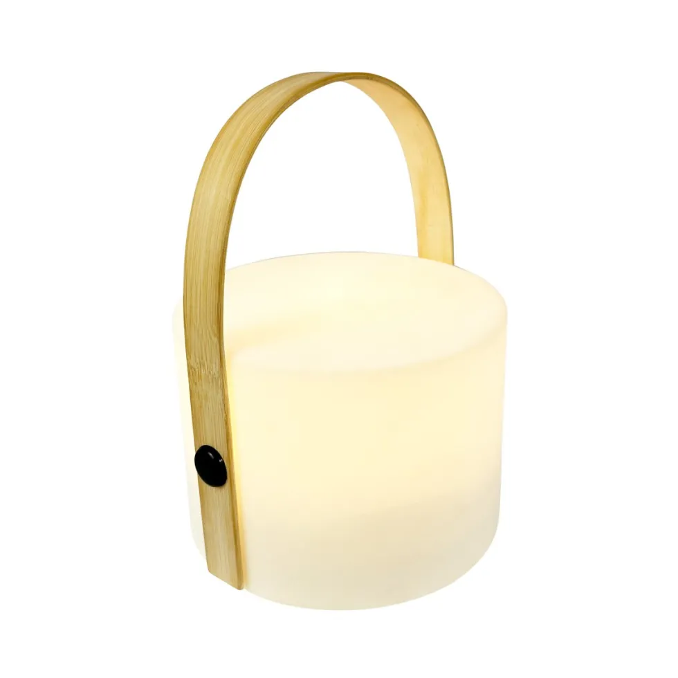 Carry 20cm portabel