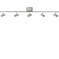 Cato 5 spotlight