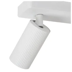 Clubs 2 spotlight