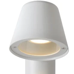Dingo-LED 70cm pollare