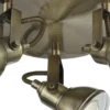 Focus 3 spotlight