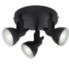 Focus 3 spotlight