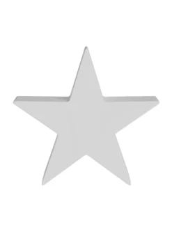 Ichiban Ø48