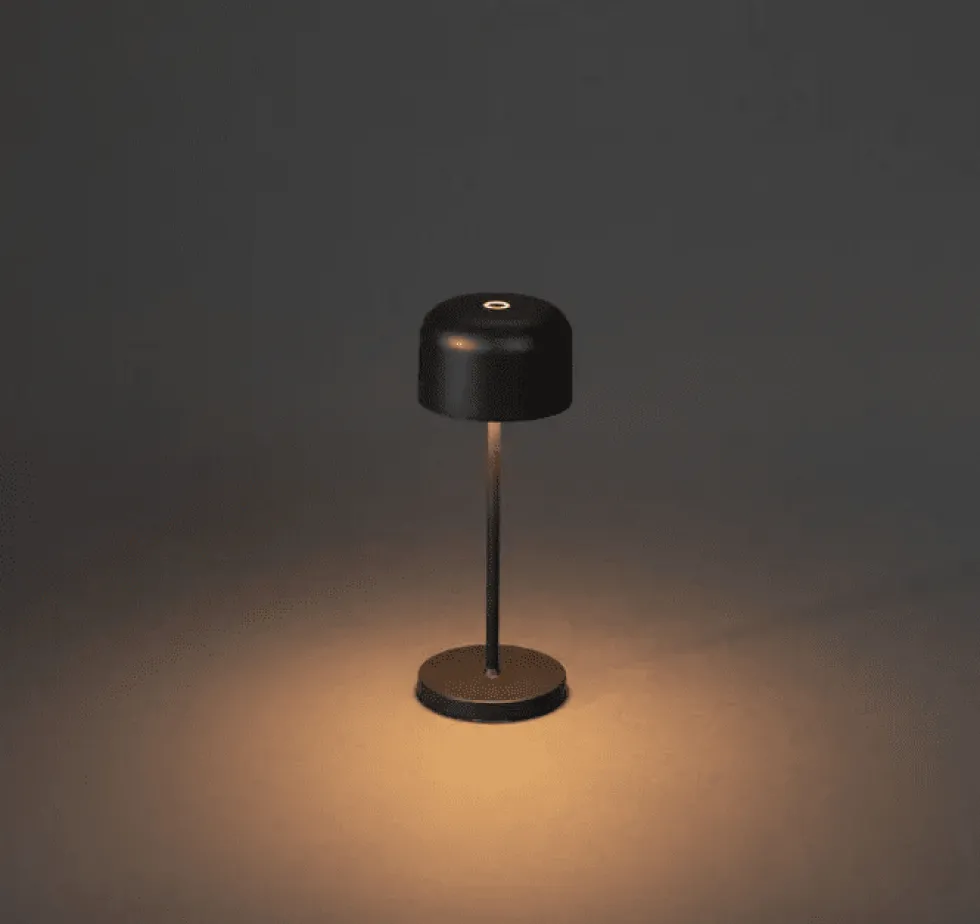 Lille 20cm portabel