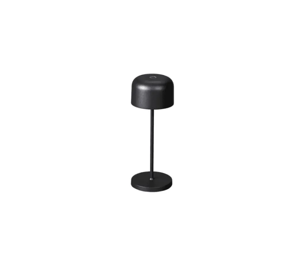 Lille 20cm portabel