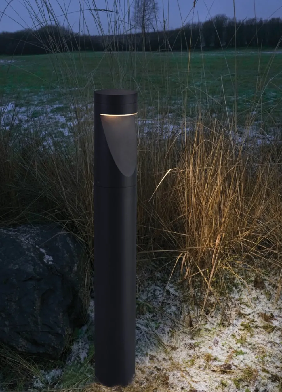 Oppland 85cm pollare