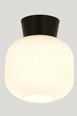 Vanja Ø20 plafond