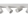 Xyrus 4 spotlight