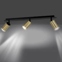 Zen 3 spotlight